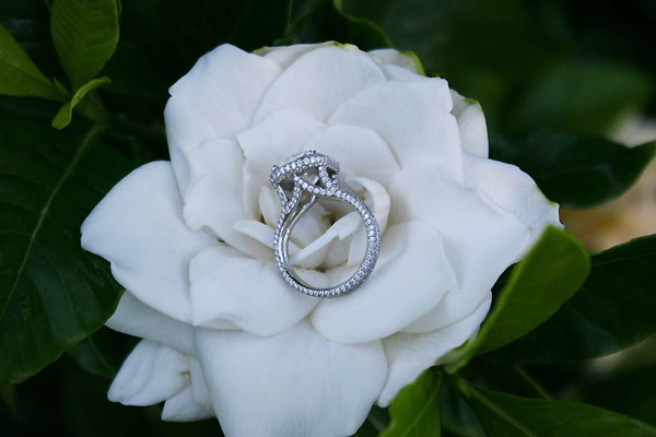 Pave Diamond Engagement Ring